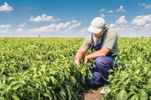 Agricultural Education in Australia: A Pathway Towards Sustainable Future