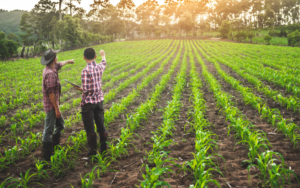 Agricultural Education in Armenia: Opportunities, Challenges, and the Road Ahead