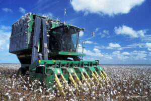 A cotton picker at work- Baumwoll