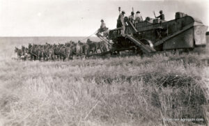 Threshing Machines: Revolutionizing Post-Harvest Agriculture