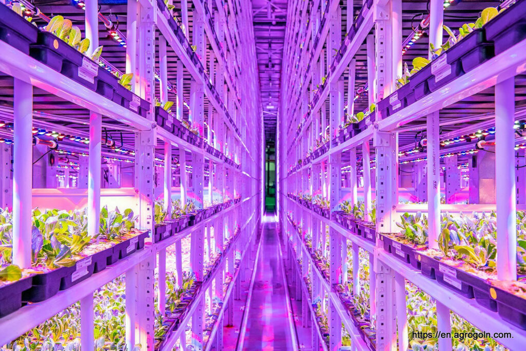 Vertical farm in Moscow 1