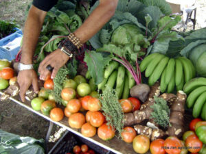 Agricultural Education in The Bahamas