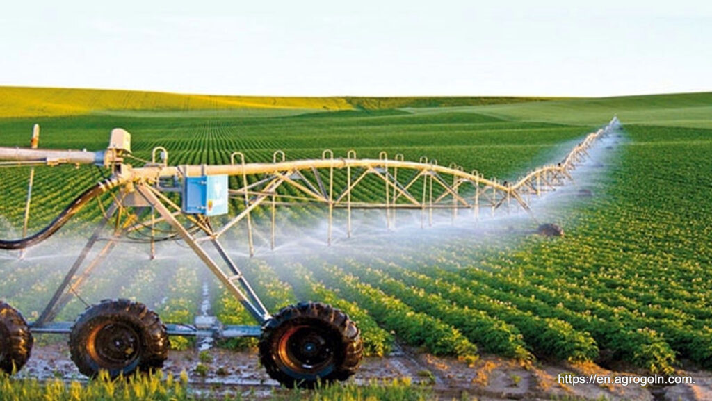 Agriculture Education in Algeria: A Comprehensive Overview