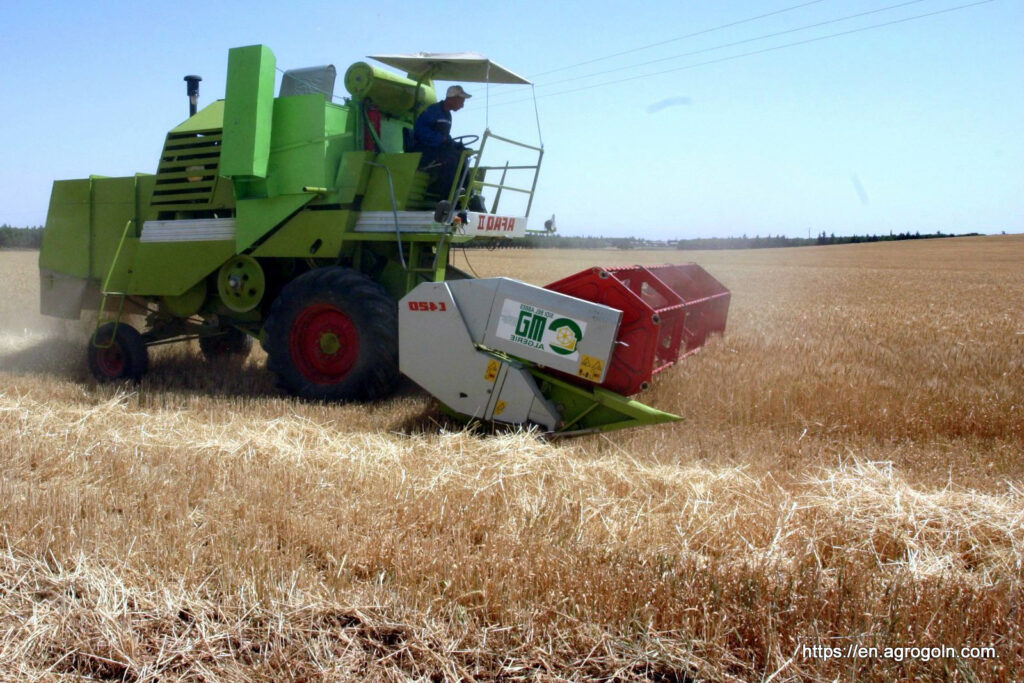 Agriculture Education in Algeria: A Comprehensive Overview