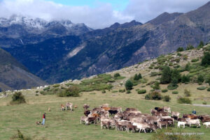 Agriculture in Andorra