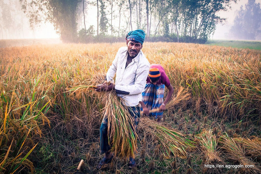 Agriculture in Bangladesh