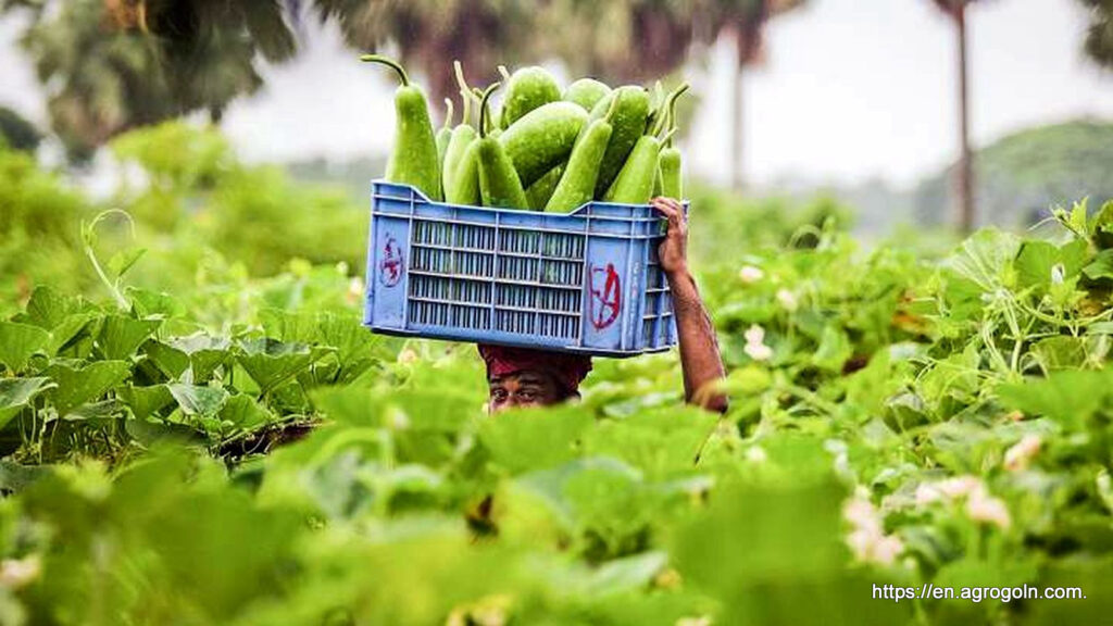 Agricultural Bank Loan Policy of Bangladesh