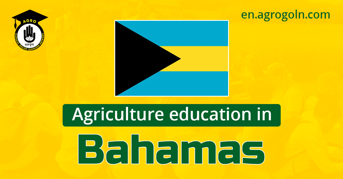 Bahamas