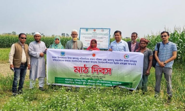 Experiment in Cultivating Three Crops on the Same Land Yields Success